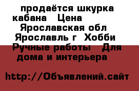 продаётся шкурка кабана › Цена ­ 25 000 - Ярославская обл., Ярославль г. Хобби. Ручные работы » Для дома и интерьера   